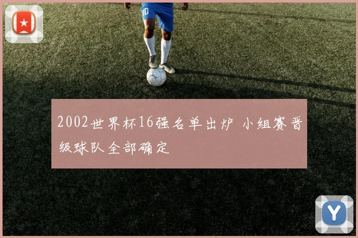 2002世界杯16强名单出炉 小组赛晋级球队全部确定