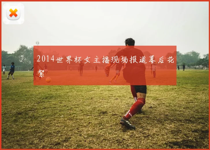 2014世界杯女主播现场报道幕后花絮